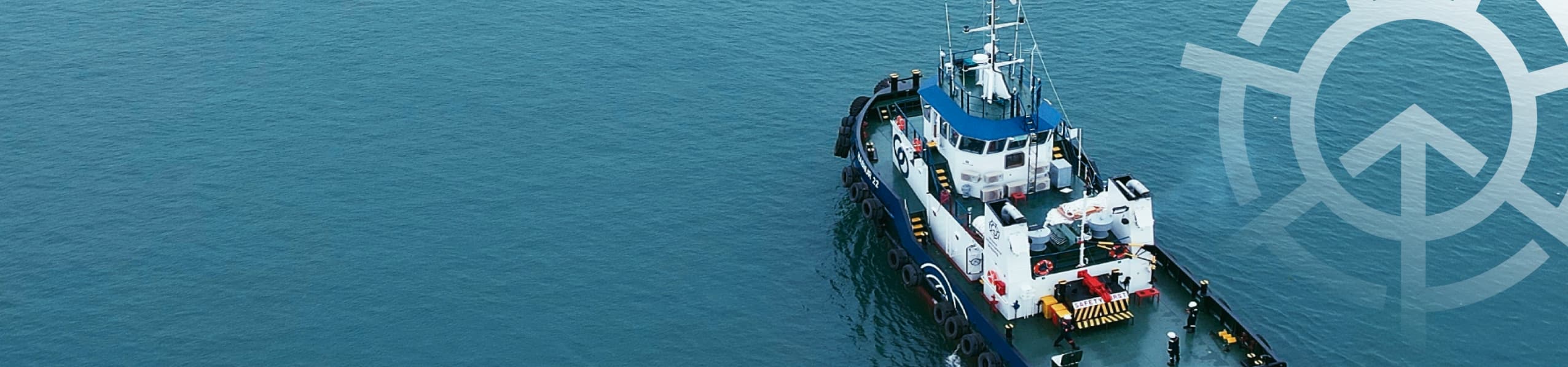 Hasnur Internasional Shipping Assets